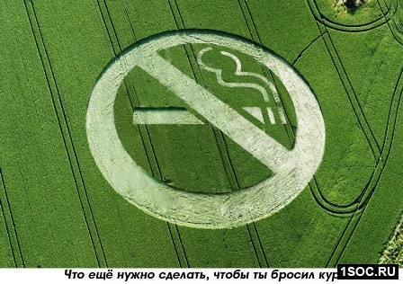 Новый взгляд