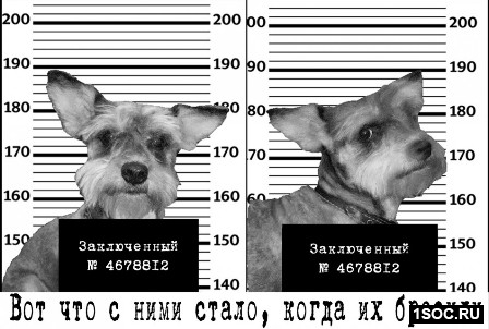 Новый взгляд