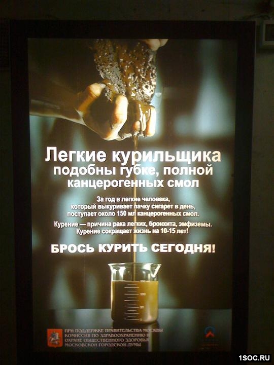 Lung Foundation 