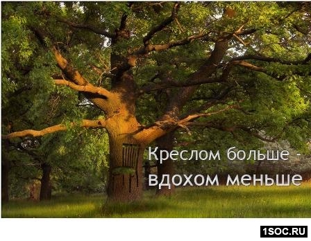 Бровко, Гориченко Городская среда