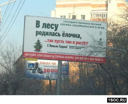 Чита