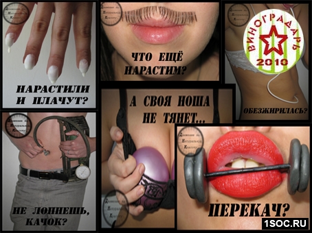Малый виноградарь 2010
