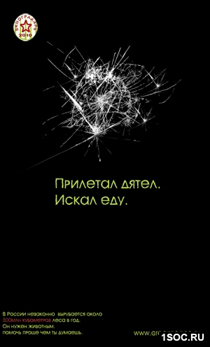 Малый виноградарь 2010