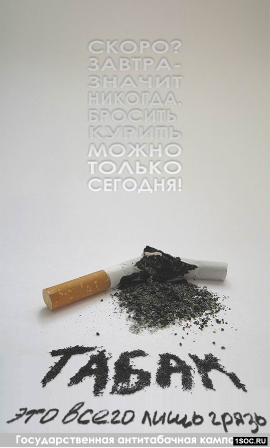шорт-лист Виноградаря