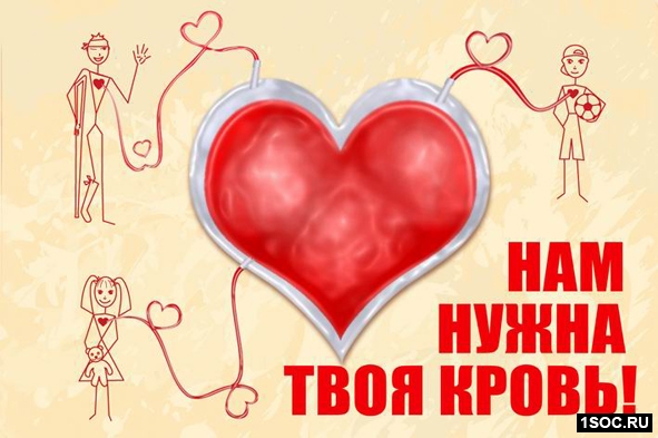 шорт-лист Виноградаря