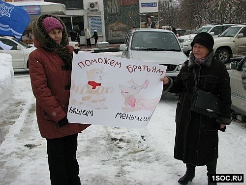 Животные7