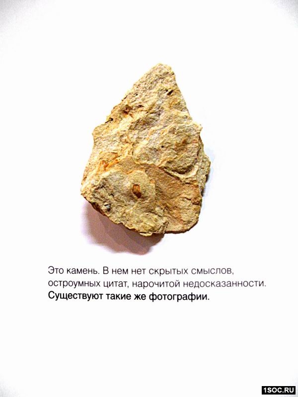 ambient media в сфере безбарьерной среды