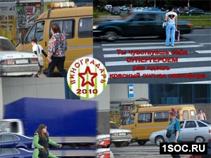 Малый виноградарь 2010
