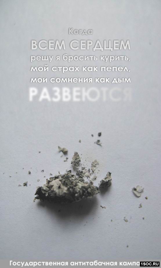 шорт-лист Виноградаря