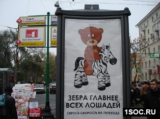 Зебра главнее всех лошадей